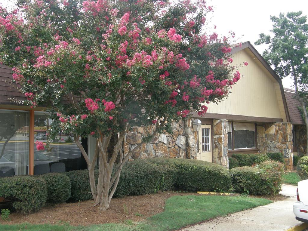 Economy Inn - Wesley Chapel Decatur Exteriör bild